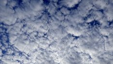 Готови ли сме да платим цената за чистия въздух?