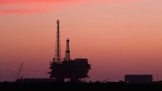 Coface: Коронавирусът ще окаже най-силното влияние върху петрола от рецесията