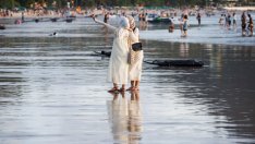 По-високите цени на самолетните билети не плашат пътешествениците