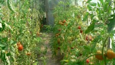 Проекти на млади фермери за калифорнийски червеи няма да получават евросубсидии