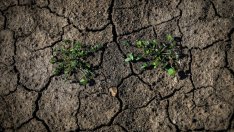 ООН: Затоплянето на Земята с 1,5°С ще бъде постигнато още през 2035 г.*