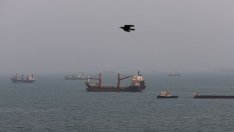 Иран и Оман са се договорили за споделяне на приходите от Ормузкия проток