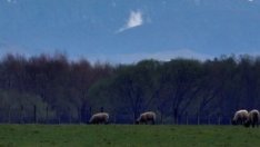 13 млн. лв. по ОПОС са предвидени за отчуждаване на земи в НАТУРА 2000