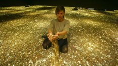 Графика на деня: Накъде мигрират милионерите?