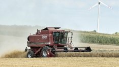 Изобилието от руска пшеница свива наполовина международните цени