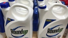 САЩ погват Monsanto за нанасяне на екологични щети