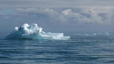 Кои са най-важните моменти за климата през 2025 г.?