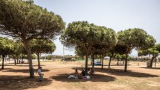 Крайната суша сее хаос в ежедневието на испанците