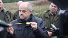 Ръст на заявките за продажби на живи елхи отчитат горските стопанства