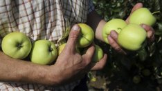 Почти 10 хил. ракети са  изстреляни в активния сезон  за борба с градушките