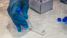 БАН: Няма данни за мутация на COVID, която да води до по-висока смъртност