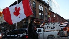 А. Нестор: Протестите в Отава и пред Капитолия може да са от едни и същи хора