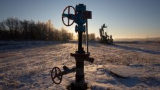 Норвежците са обсебени от Tesla, но не вярват в бъдеще без петрол