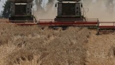 Сушата и дъждовете променят глобалните маршрути за търговия със зърно