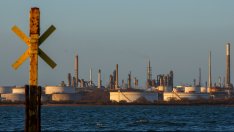 Индия и Саудитска Арабия са най-големите купувачи на руски мазут през юли