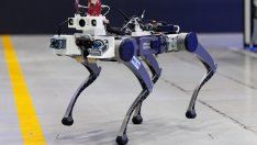 AI, дълголетие, летящи коли, роботи - къде са най-перспективните инвестиции?