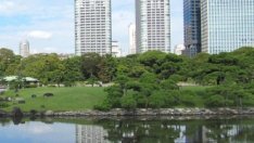 Токио измести Лондон като най-оживен пазар на бизнес имоти в света