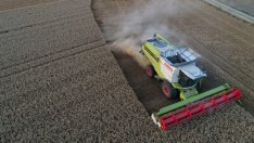 Държавният резерв планира да купи 16 хил. т пшеница през борсата