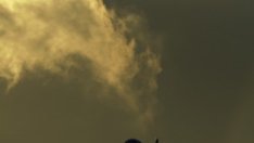 IATA намали прогнозите си за печалба на въздухоплавателния сектор