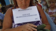 ЕС ще обсъди компенсации за фермерите заради скандала със зеленчуците 