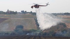 Пожарите в България тази година са с 10% повече в сравнение с 2023 г.