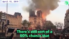 Блокадата застрашава ремонта на Нотр Дам