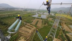 К. Константинов: Няма манипулации при борсовата търговия на ток