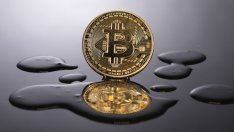 Глупостта, с която трябва да свикнем на този етап от най-дългия бичи пазар