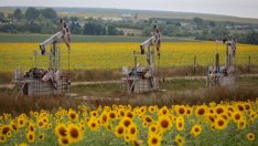 Пикът на глобалното търсене на петрол вече е в миналото