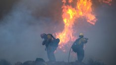 Технологичните компании увеличават ангажиментите си към декарбонизацията