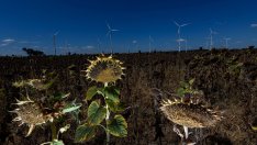 Едностранните действия за климата могат да имат непредвидени последствия