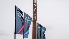 Bayer постигна извънсъдебно споразумение за маркетирането на Roundup