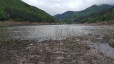 НЕК е надвишила разрешените водни количества за производство на ток от язовир „Цанков камък“