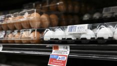 САЩ влизат в битка с нов вид контрабанда - яйца