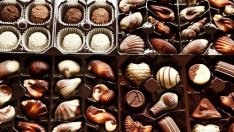 Защо шоколадовата индустрия създава проблеми за околната среда?