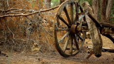 Северозападният район продължава да губи работна сила