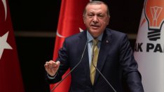 Тази Турция не е за ЕС