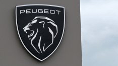 Пежо назначава нов изпълнителен директор, който да управлява богатството на клана