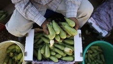 Пада руското ембарго за продукти за детски храни