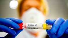 Кои са слабите звена при управлението на Covd кризата?