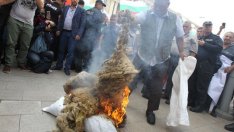 Продължават изследванията на животните в Югоизточна България