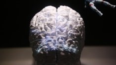 Укрепването на мозъчното здраве е ключ към процъфтяваща икономика