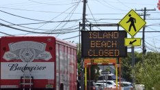 Производителят на Budweiser поръча 40 броя Tesla Semi