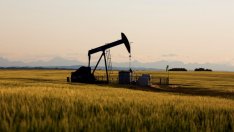 Петролът продължава да поскъпва заради надеждите за търговско разведряване*