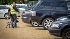 От днес е възстановено платеното паркиране в „синя" и „зелена" зона в София