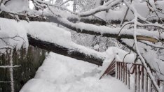 Създадоха кризисен щаб заради снеговете