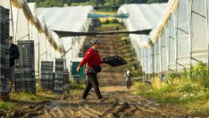 Селскостопанският сектор в ЕС губи 28 млрд. евро годишно заради климатични рискове