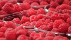 ОСП трябва да докаже, че си струва изразходваните средства