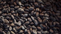 Цената на какаото бележи седмичен ръст заради опасенията за сухо време в Западна Африка