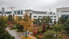 Япония и Нидерландия са готови да съдействат на САЩ в ограничаването на Китай на пазара на чипове